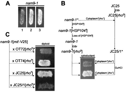 FIG. 6