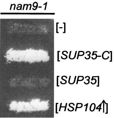 FIG. 7