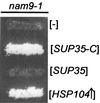 FIG. 7