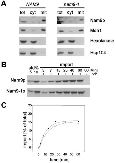 FIG. 1