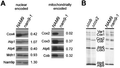 FIG. 3