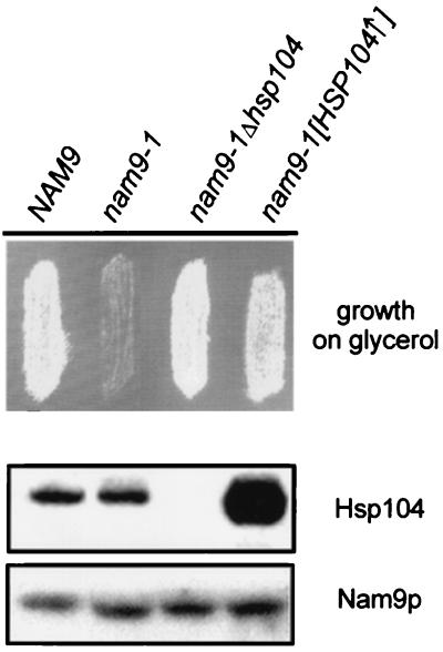 FIG. 5