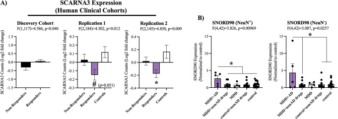 Figure 1—figure supplement 1.