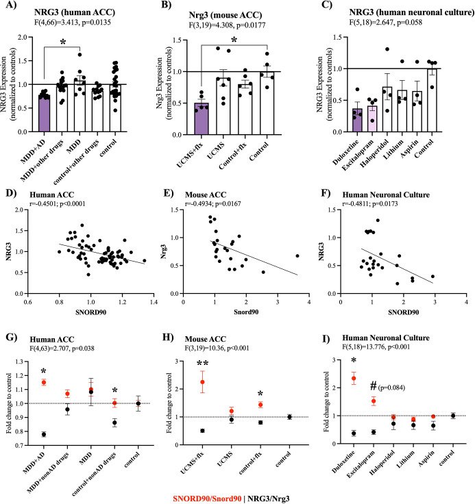 Figure 1—figure supplement 2.