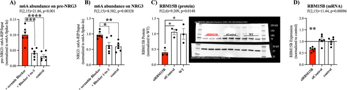 Figure 4—figure supplement 1.