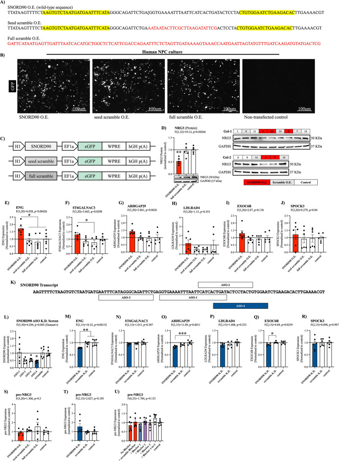 Figure 3—figure supplement 1.