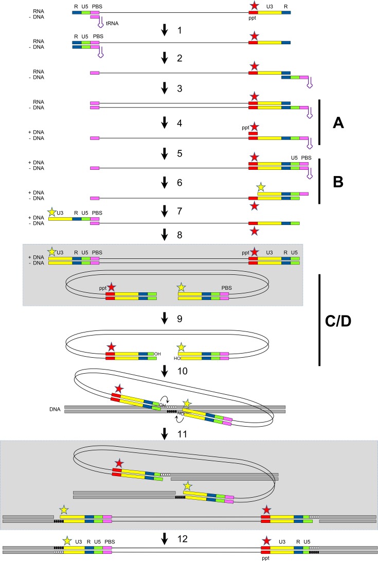 FIG 1 