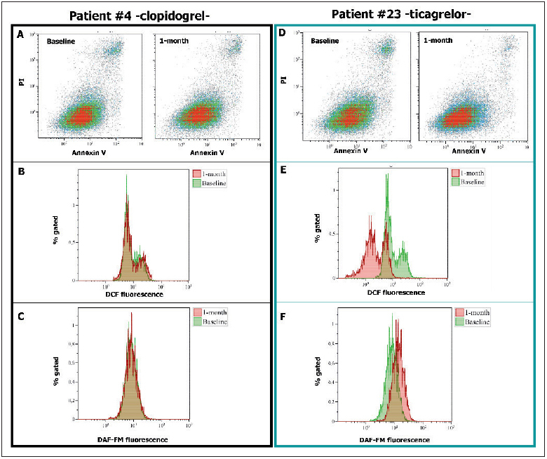 Figure 2: Schematic representation of endothelial function assays in two patients