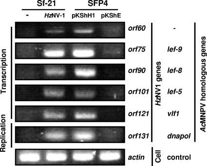 FIG. 6.