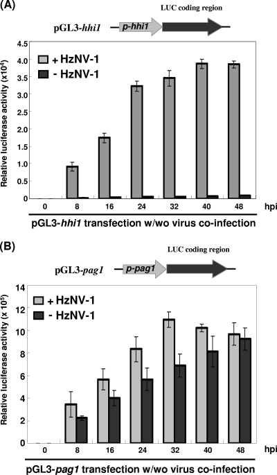 FIG. 4.