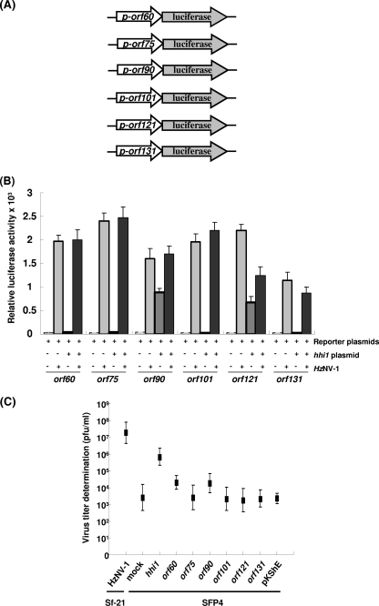 FIG. 7.