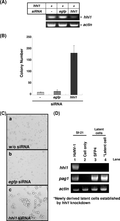 FIG. 8.