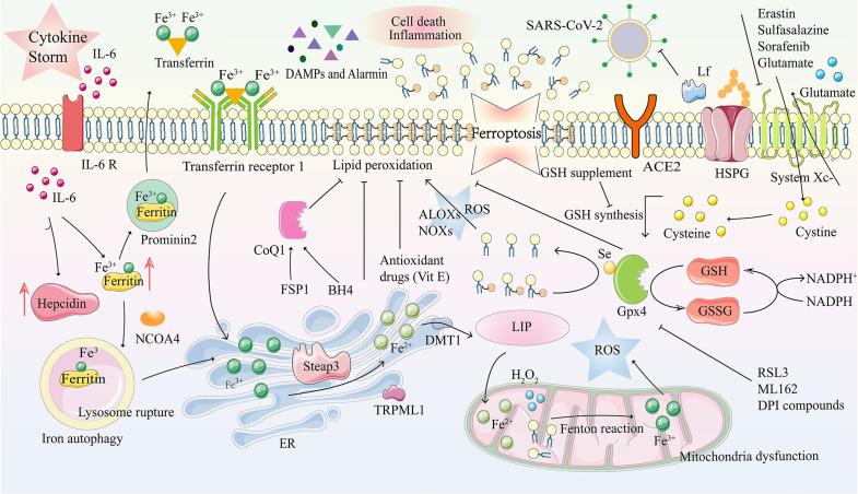 Figure 3