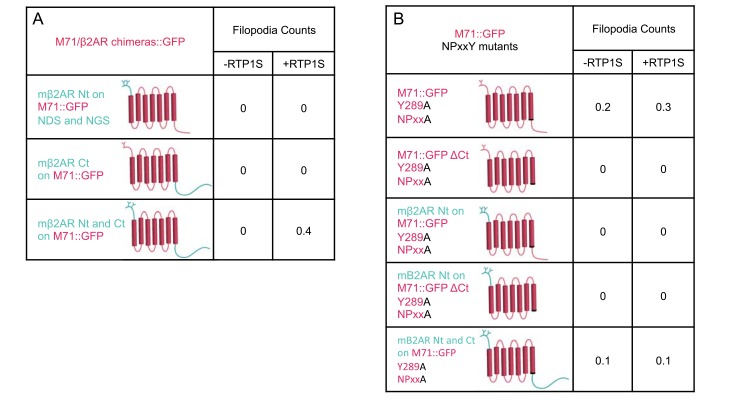 Fig 5