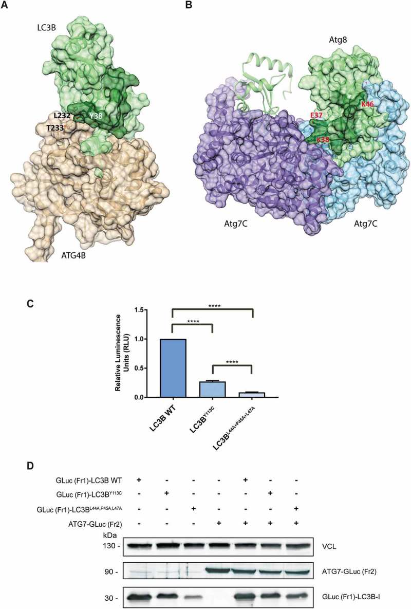 Figure 6.