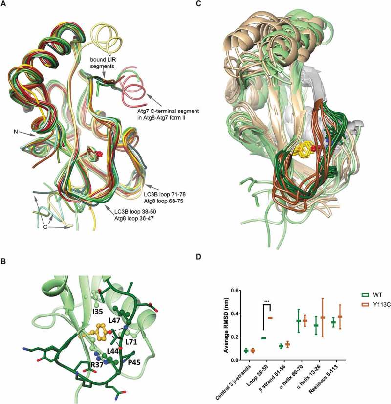 Figure 5.