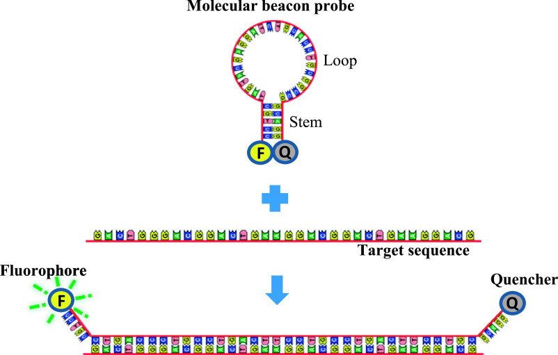 Fig. 1.