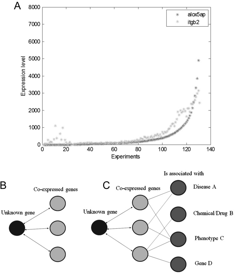 Fig. 1.