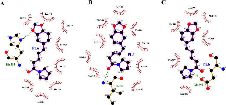 Fig 10