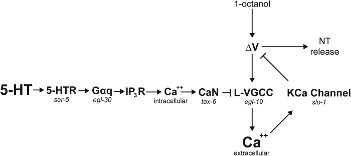 Figure 7.