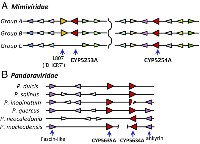 Fig. 4.