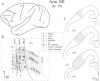 Fig. 10.
