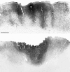Fig. 9.