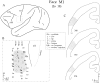 Fig. 13.