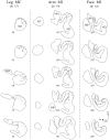 Fig. 16.
