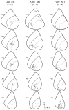 Fig. 17.