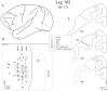 Fig. 12.