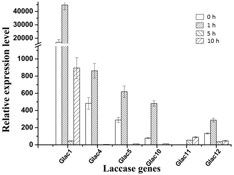 Figure 6