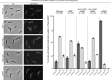 Figure 7—figure supplement 3.