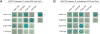 Figure 1—figure supplement 2.