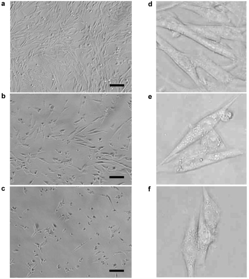 Fig. 9