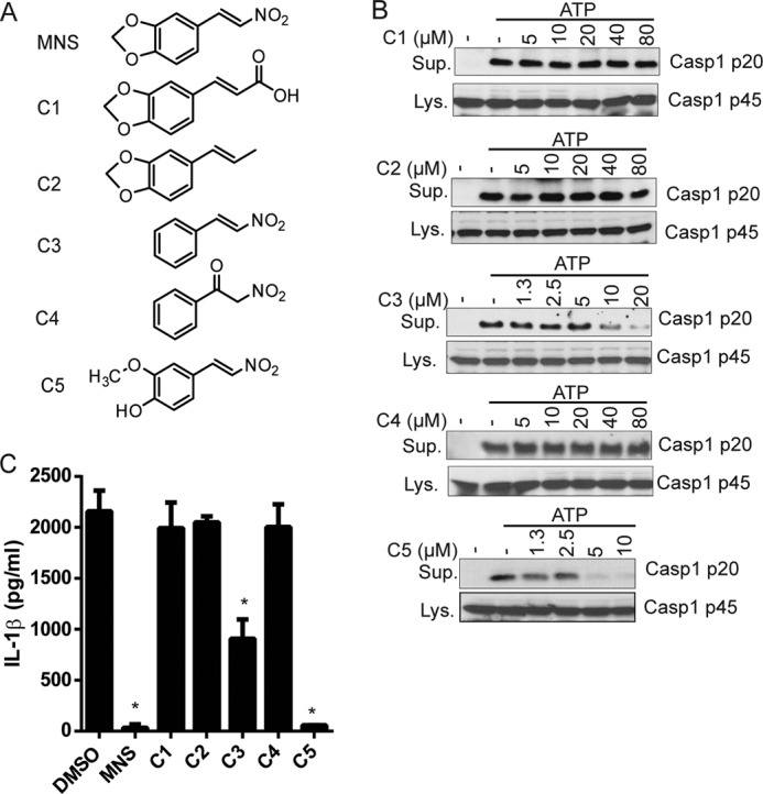 FIGURE 5.