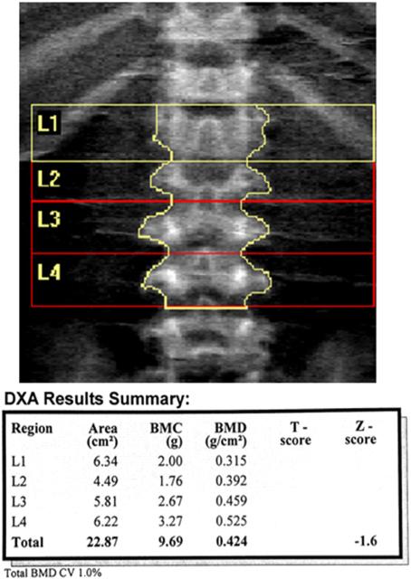 Fig. 4