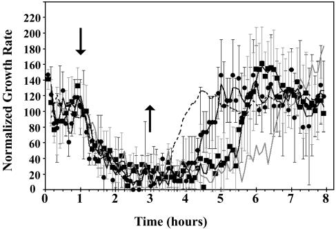 Figure 5.