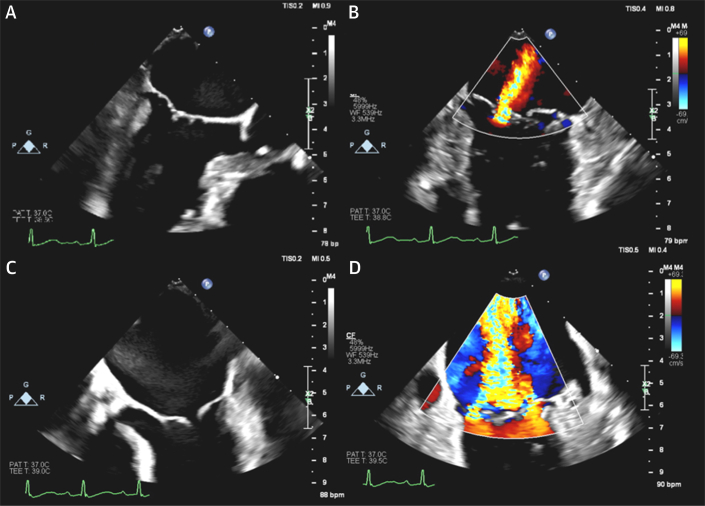 Figure 3