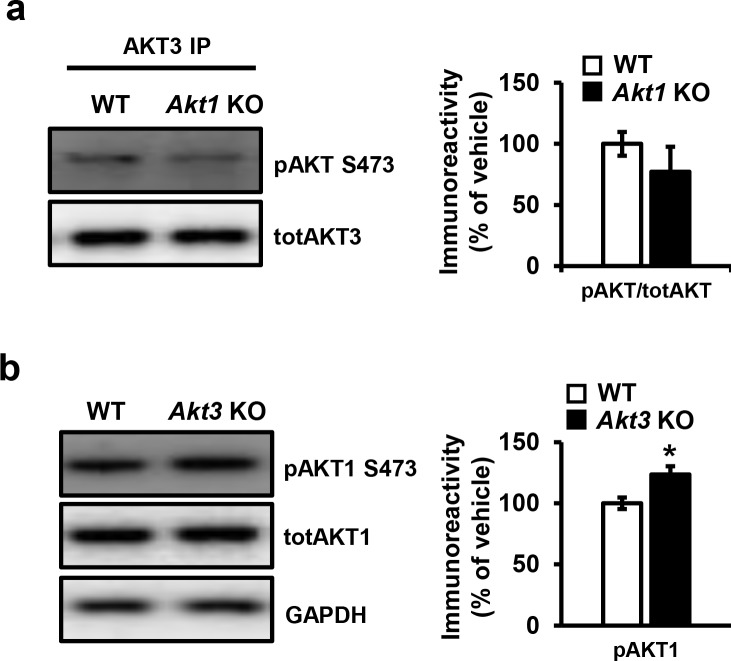 Figure 4—figure supplement 4.