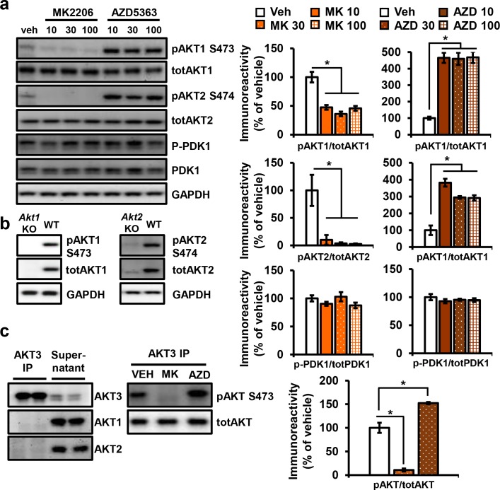 Figure 3—figure supplement 1.