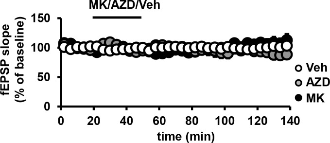 Figure 4—figure supplement 1.