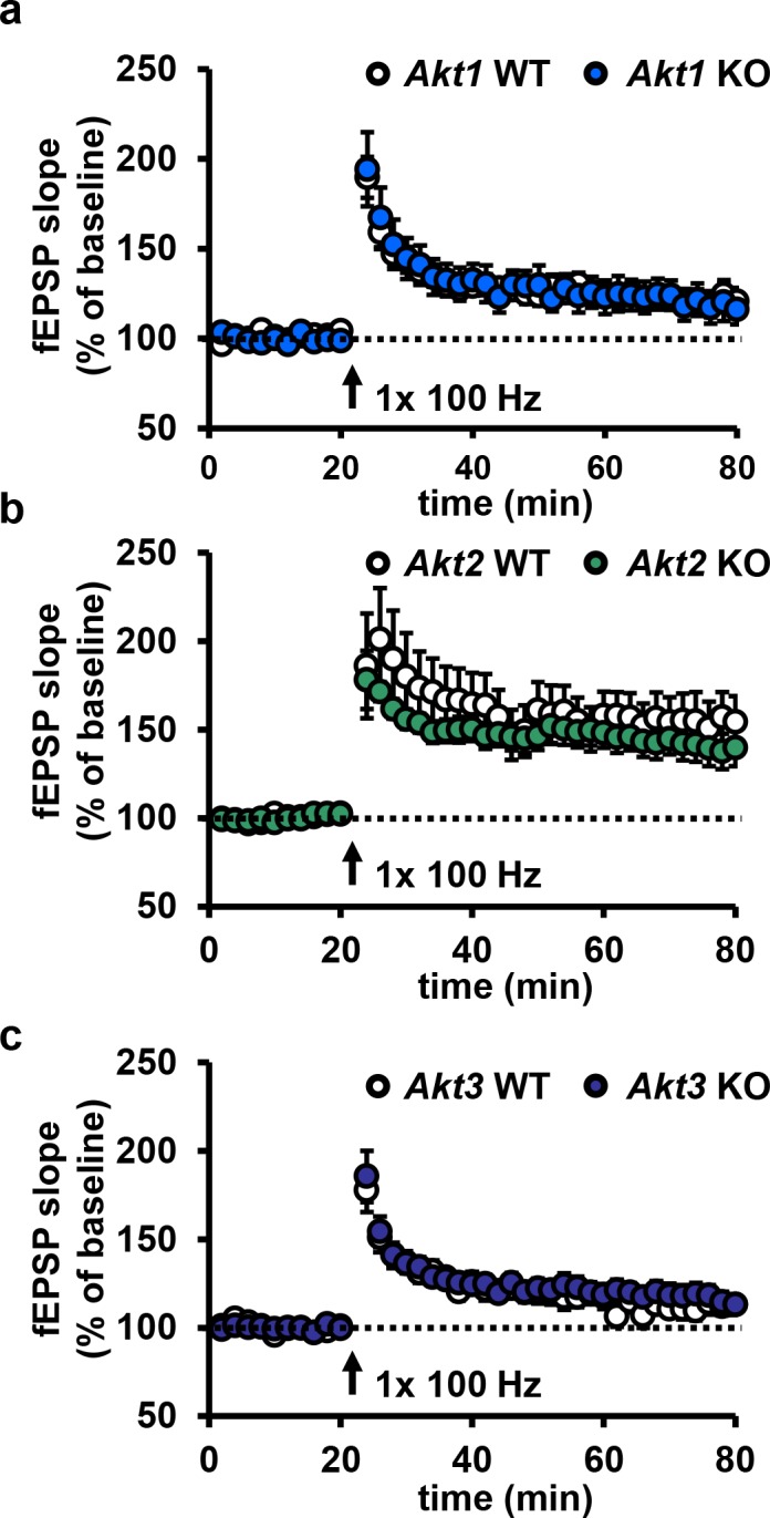 Figure 4—figure supplement 3.