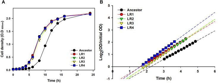 FIGURE 4