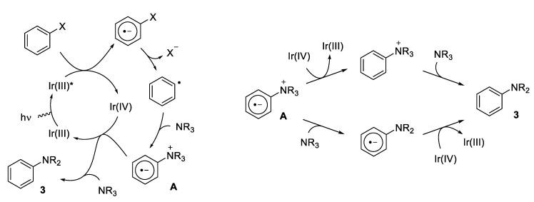 Scheme 3