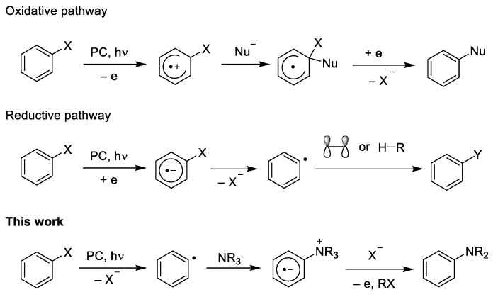 Scheme 1