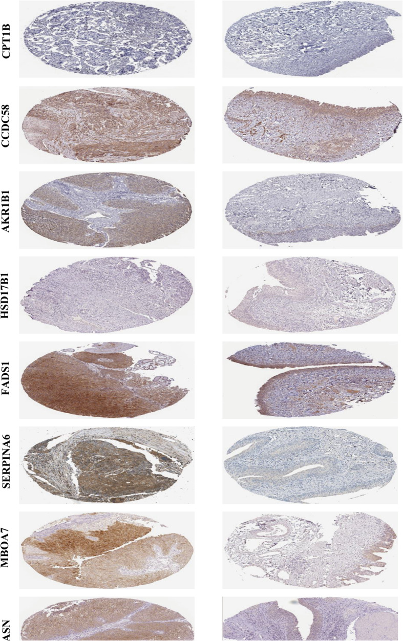 Fig. 13