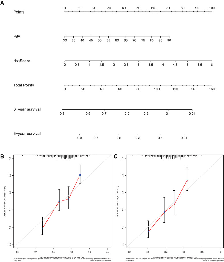 Fig. 11