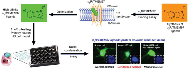 graphic file with name nihms-1838439-f0001.jpg