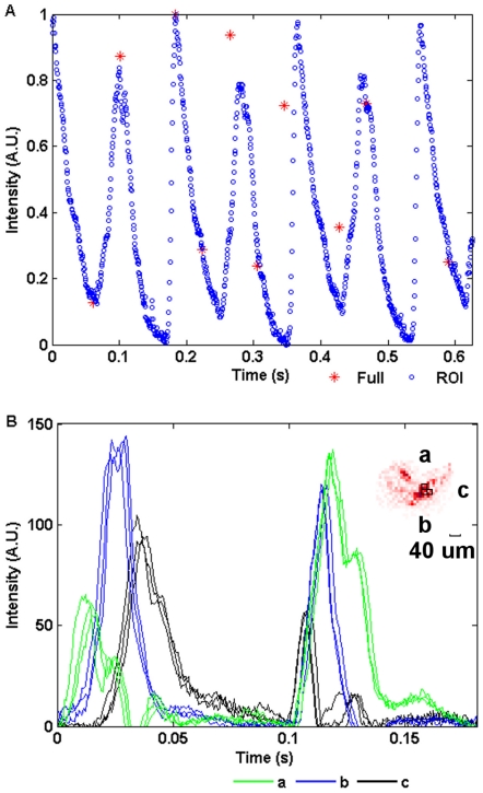 Figure 13